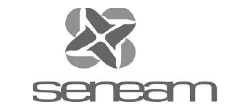 logo_seneam